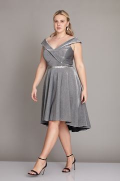 Immagine di MIDI SILVER DRESS